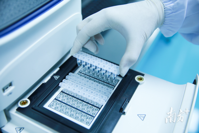 1692065127846349.png 640.png