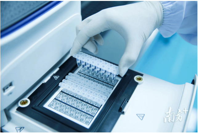 1698115925886583.png image.png